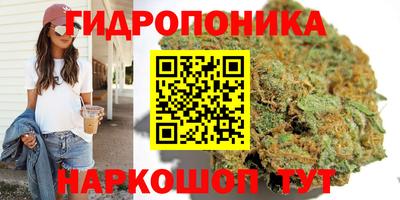 стаф Кинель