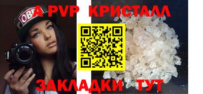 стаф Кинель