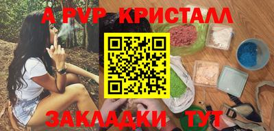 стаф Кинель